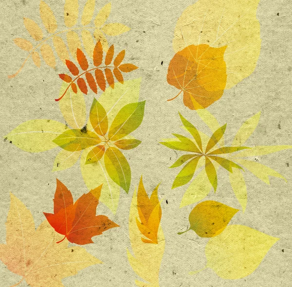 带纹理的背景与秋天叶 — 图库照片