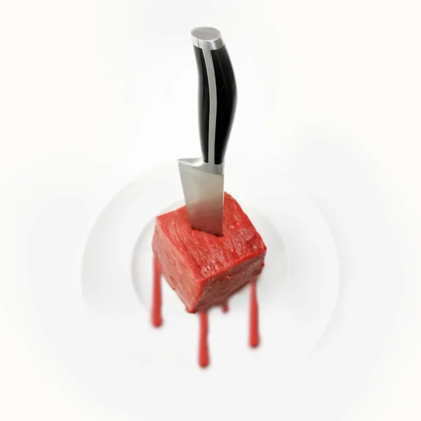 et ve çelik bıçak