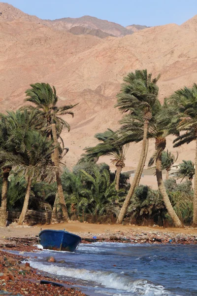 Лодка, пальмы и горы на берегу моря — стоковое фото