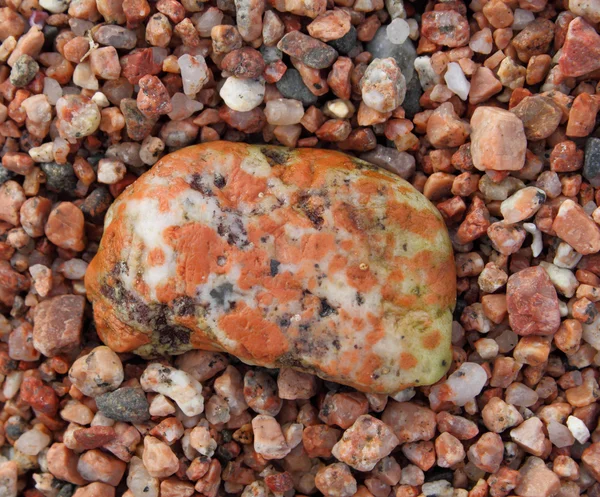 クローズ アップ小石と海の海岸の石 — ストック写真