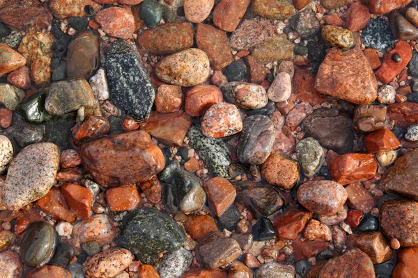 Closeup stones on sea shore — Stock Photo, Image