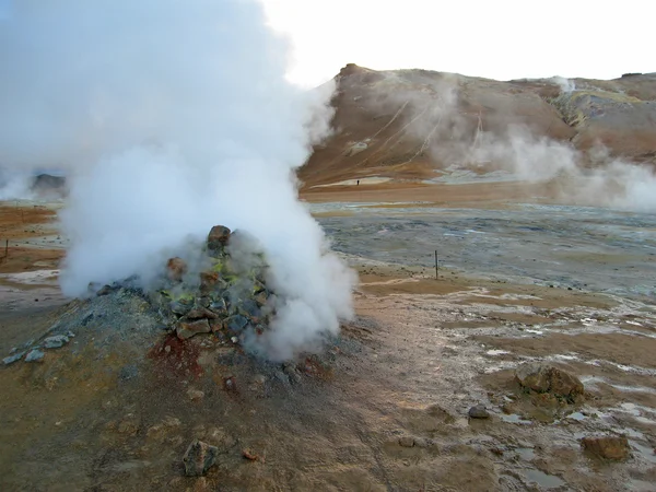 stock image Erupting geyser of steam, Iceland