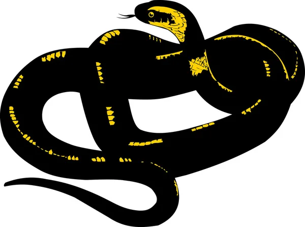 Sárga-fekete kígyó — Stock Vector