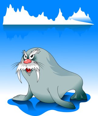 Old walrus clipart