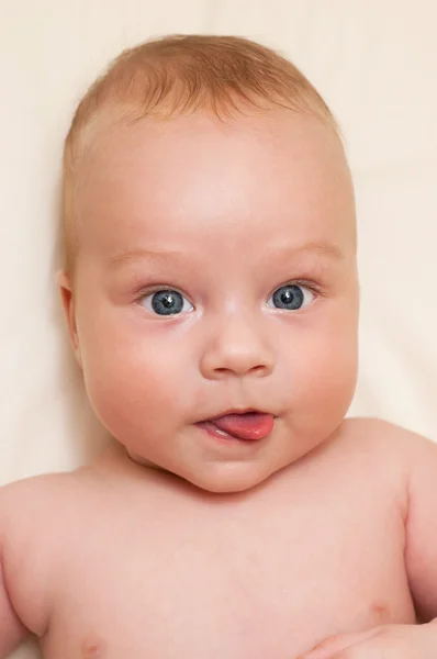 Porträtt av förtjusande baby pojke — Stockfoto