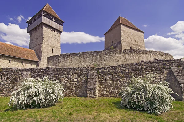 Fortezza medievale calnica in Transilvania Romania — Foto Stock