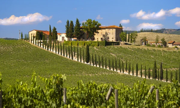Tuscany landskap med hus — Stockfoto