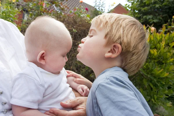 Kleiner Junge küsst seine kleine Schwester — Stockfoto