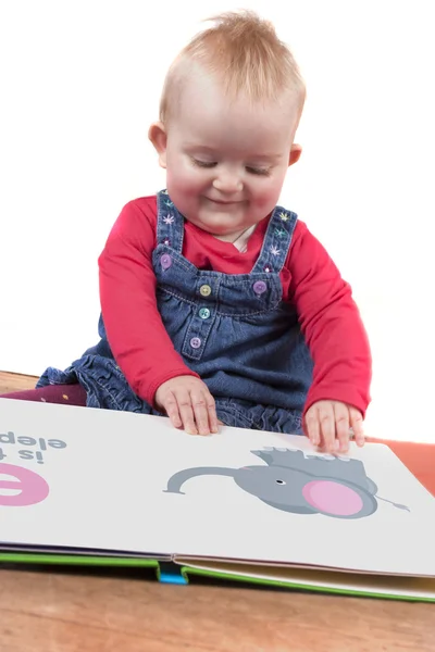 1 년 된 아기 그림책 읽기 — 스톡 사진