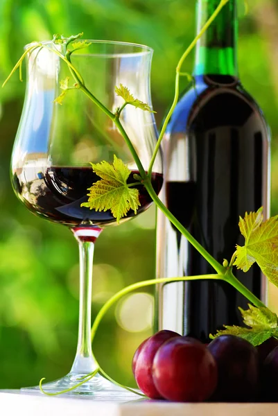 Glas und Flasche Rotwein mit roten Früchten — Stockfoto