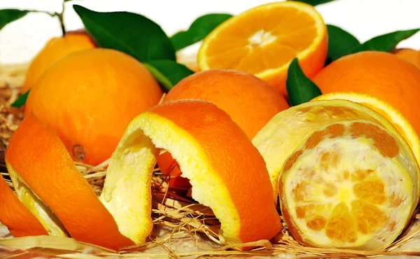 Plasterki pomarańczy na stole — Zdjęcie stockowe