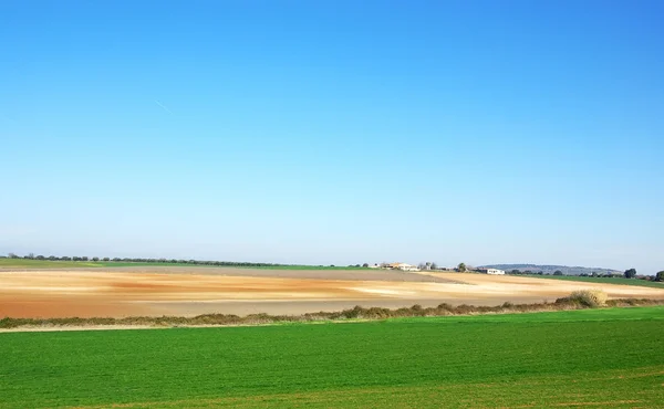Landschap van landbouwgebied bij portugal — Stockfoto