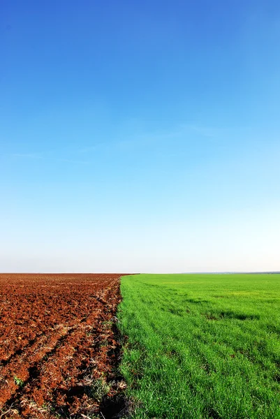 Plöjde och gröna fältet bakgrund — Stockfoto