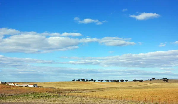 Landschap van alentejo boerderij, ten zuiden van portugal. — Stockfoto