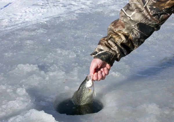 Pesca no gelo — Fotografia de Stock