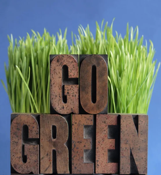 Ga groen gras op blauw — Stockfoto