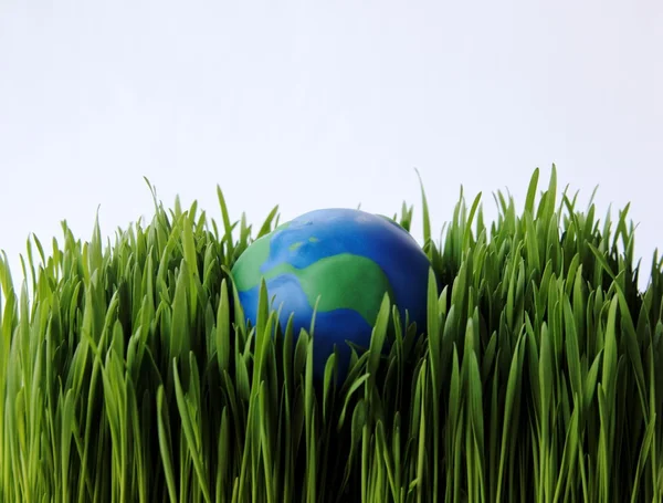 Earth in grass — Stock Photo, Image