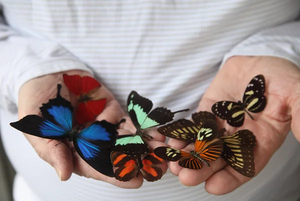 Viele Schmetterlinge auf den Händen eines Mannes — Stockfoto