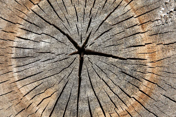 Dřevěná konstrukce na pozadí — Stock fotografie
