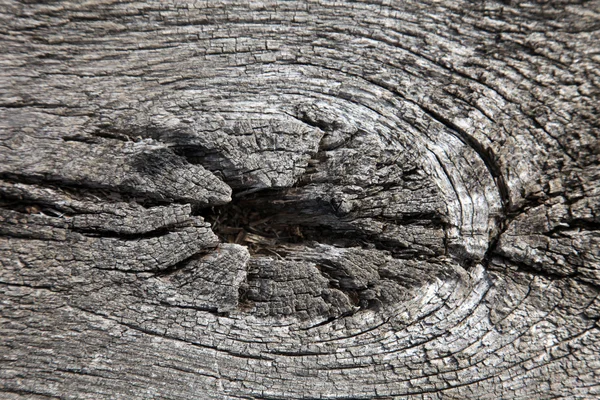 Дерев'яна структура для тла — стокове фото