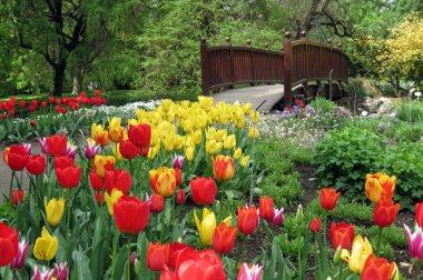 çiçek Park