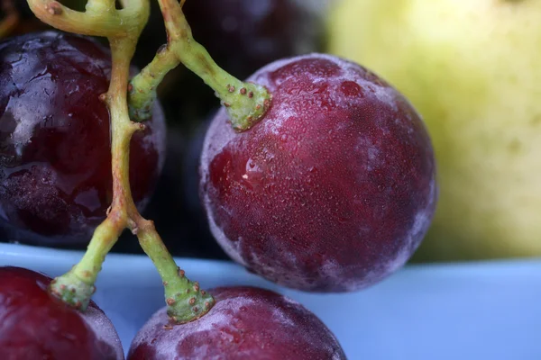 Bagas de uva — Fotografia de Stock