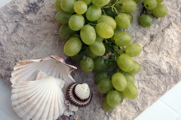 Mediterranean: grapes and shells — Stock Photo, Image