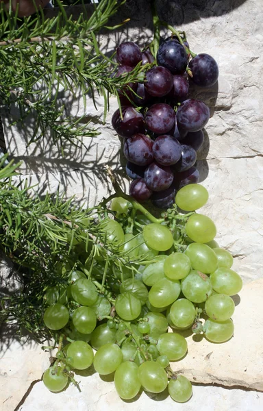 Виноград на каменном фоне — стоковое фото