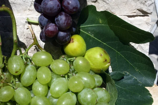 Mediterranean: grapes and figs — Stock Photo, Image