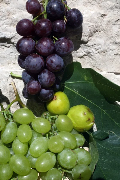 地中海: 葡萄和无花果 — 图库照片