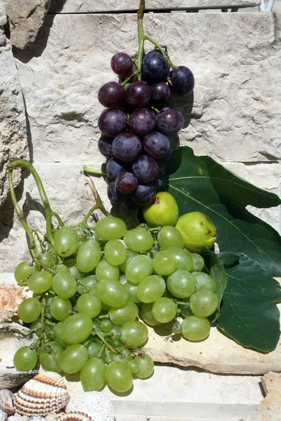 Mediterráneo: uvas e higos — Foto de Stock