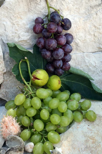 Winogrona na tle kamień — Zdjęcie stockowe
