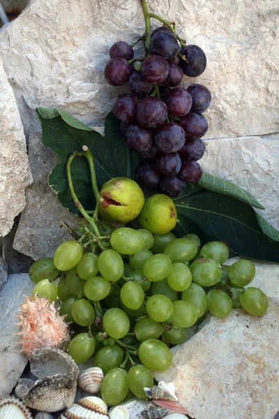 Виноград на кам'яному фоні — стокове фото