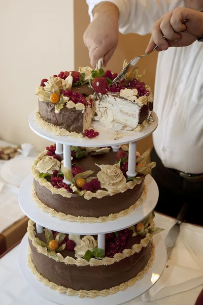 Cutting the cake — Stock Photo, Image