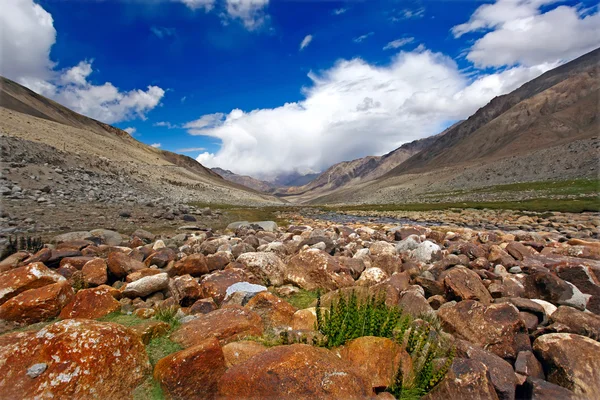 Vale e rio nas montanhas. Himalaias — Fotografia de Stock