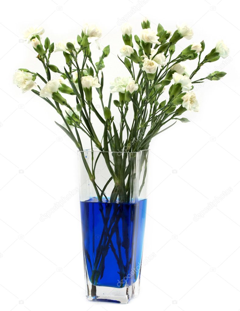 Making blue carnations