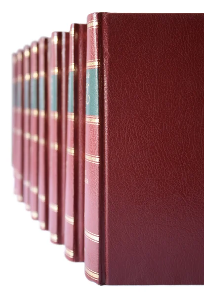 stock image Row of books with red hard leather cover