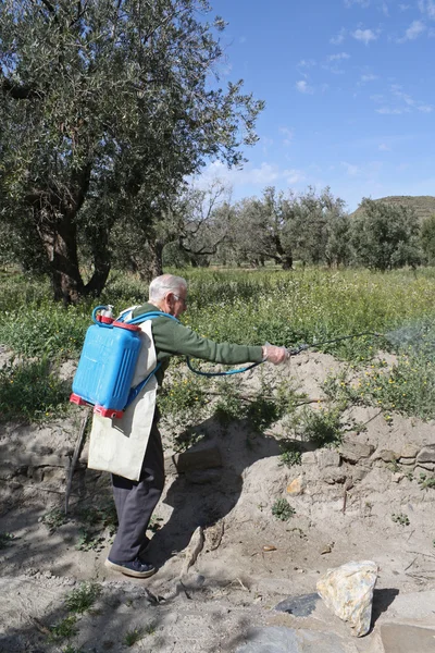 stock image Elderly farmer spraying weed pesticide