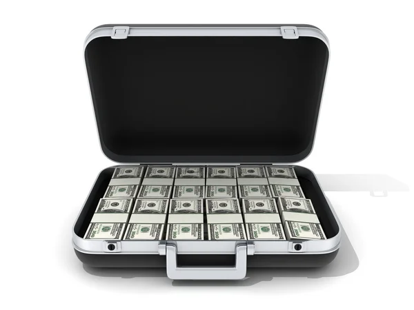 Case and money — Stock Photo, Image
