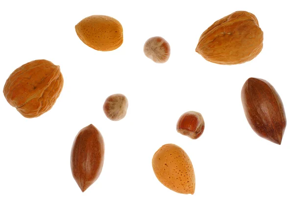 Several different nuts — Stock Photo, Image