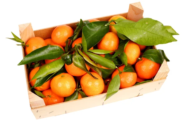 Facket tangeriner — Stockfoto