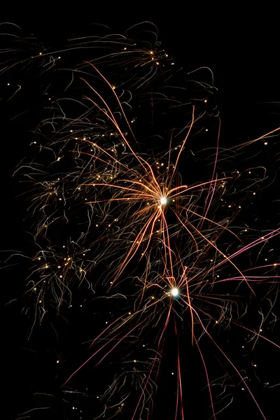 stock image Firework against black sky