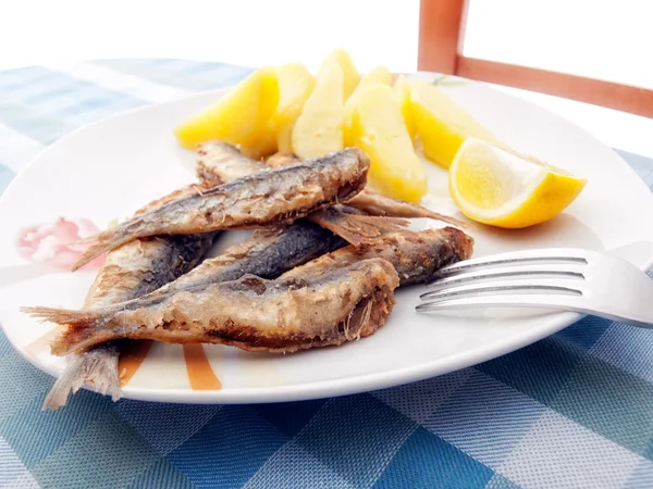 Friterade sardiner — Stockfoto