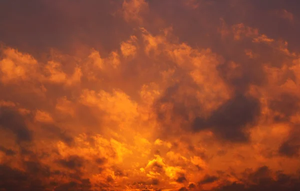 Orange sunset sky background — Stock Photo, Image