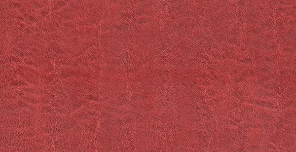 Wine red, purple leather texture best for backround — Stock Photo, Image