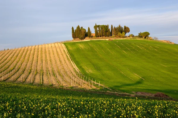 Chiantishire (Toscana) — Stockfoto