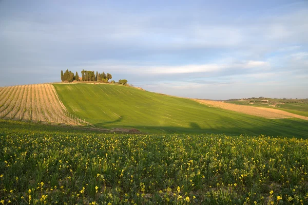 Chiantishire (Toscana) — Stockfoto