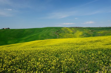 Val d'Orcia (Toskonya)