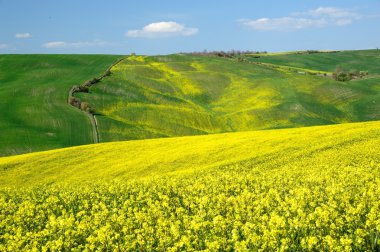 Val d'Orcia (Toskonya)