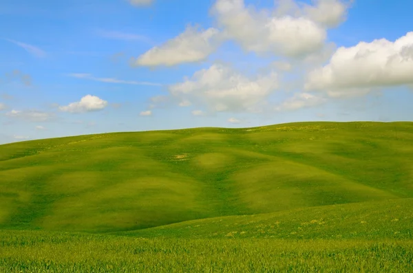 Landschap van de "Crete Senesi" in Toscane — Stockfoto